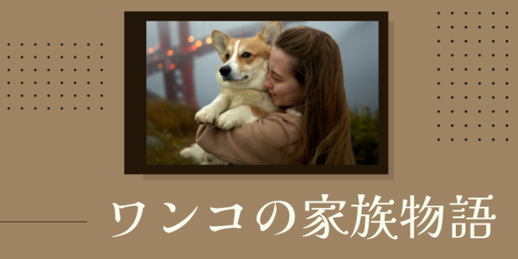 カワイイがいっぱい！ワンダーランド